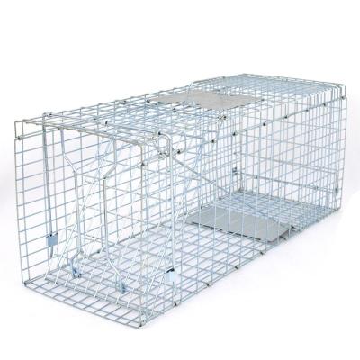 China Small Sustainable Style Professional One-Door Animal Trap For Squirrel, Rabbit, Skunk, And Mink for sale