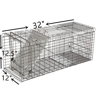 China Viable Single Folding Door Live Animal Cat Cage Traps for sale