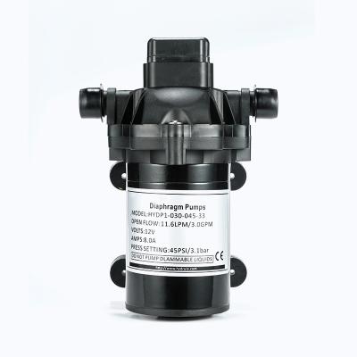 China Drinking Water Diaphragm Treatment Customized Water Pumps Battery Powered Fuel Transfer Pump for sale