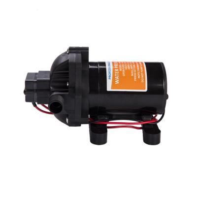 China Drinking Water Treatment Factory Price Manufacturer Supplier Dc Powered Mini Water Pump Electric Battery Operated Sump Diaphragm Dual 1/2 12v 24v 1year for sale