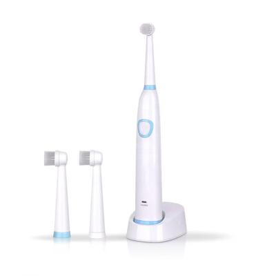 China New Style Chylee Toothbrush Wholesale Ultra High Power Rotary Oscillating Rechargeable Electric Toothbrush with Charger and Dock Brush Heads for sale