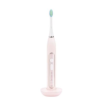 China Chylee Electric Toothbrush Cheapest Private Label Rechargeable Waterproof Smart Adult Electric Toothbrush for sale