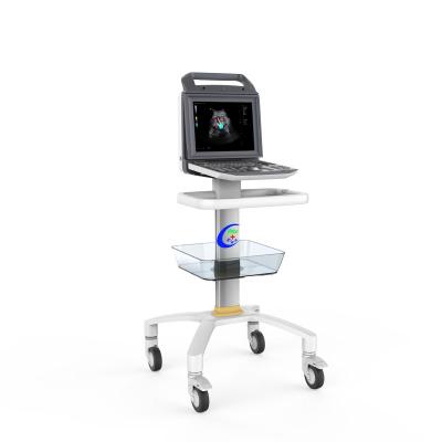 China Metal Digital Full Color Ultrasonic Doppler Diagnostic Machine for sale