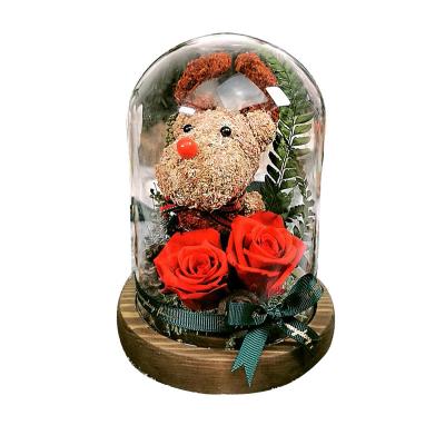 China Factory Custom Designs Wholesale Direct Wholesale Valentine's Day Dome Cover Glass Decoration Rose for sale