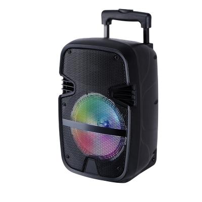 China Portable 12inch Trolley Speaker Plastic Wireless With Rechargeable Battery for sale