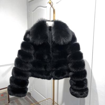 China Newest Fox Fur Jackets Fashion Anti-Wrinkle Real Fur Shorts Winter Style Amazing Stripe Coat Women Long Full Sleeve With Fox Fur Collar for sale