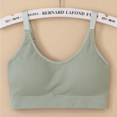 China 2022 Seamless New Design Women Sports Camisole Fitted-Strap Ladies Bralette Seamless Crop Tube Top Ultra Comfortable Plus Size for sale