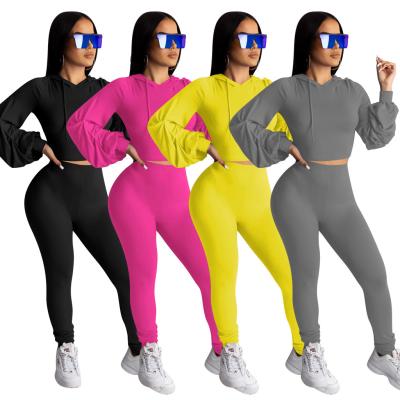 China Fashion QUICK DRY Hot Selling Long Sleeve Crop Top Plus Size Women Tracksuit Breathable Two Piece Set Hoodie for sale