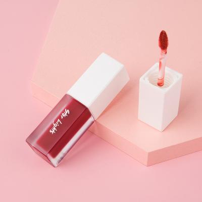 China Private Label Waterproof Lip Gloss Tube Wholesales Customized Colors Liquid Lip Gloss for sale