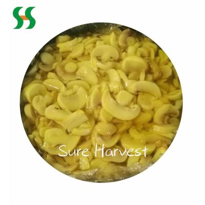 China Healthy salted whole mushroom in barrel for sale