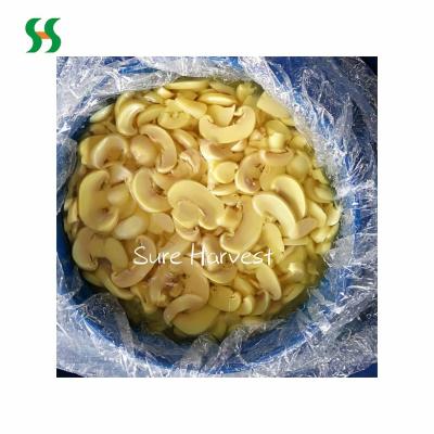 China 2021 Healthy Sliced ​​Brined Mushroom in Barrels for sale