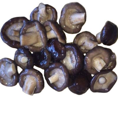 China Fresh Fresh Shiitake Mushrooms In Brine With Good Quality for sale