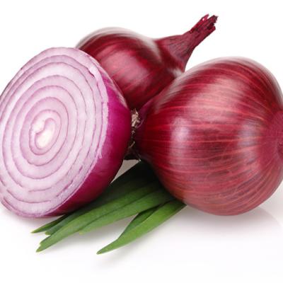 China Fresh new crop red onion with good price for sale