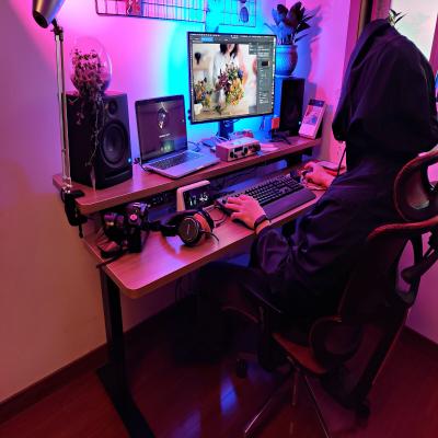 China (Height) Adjustable PC Style Electric Height Adjustable Desktop Personal Computer Tables Laptop RGB Gaming Desk for sale