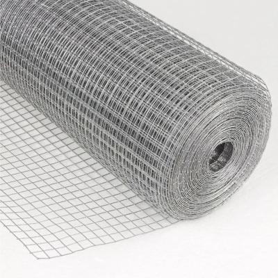 China Plain Weave Stainless Steel 16 Gauge Wire 1/2''*1/2''Welded Wire Mesh  Used For Bird Cage for sale