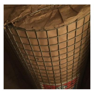 China Plain Weave Hot Sale Factory Price Galvanized Welded Wire Mesh Roll For Fence for sale