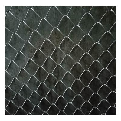 China Easily Assembled High Quality And Low Price Metallic Chain Link Fence Slat For Manufacturer for sale