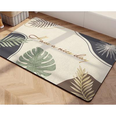 China Washable Absorbent Soft Carpet Diatomite Bath Floor Mats Quick Drying Bath Mat for sale