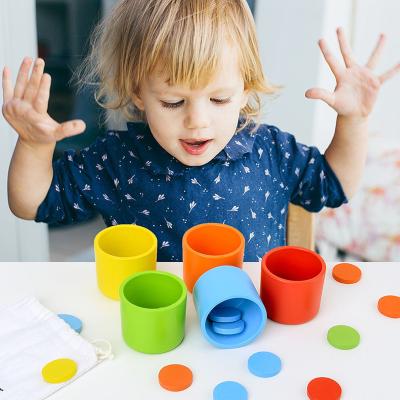 China Eco-Friendly Montessori Toy Training Color Classification Early Childhood Toys Material Educational Gifts For Kids Children Baby Desk Game for sale