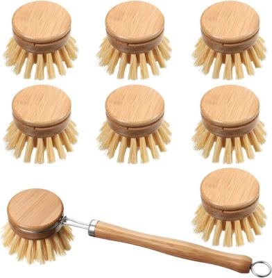 China Sustainable Dish Brush with Handle for Cleaning Kitchen Utensils for sale