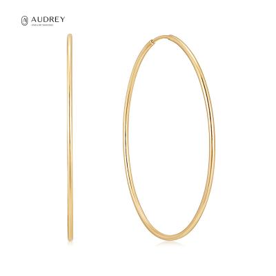 China Audrey Jewelry Trendy Large Huggie 14K Double Solid Gold Environmental Friendly Large Thick Hoop Earrings for sale