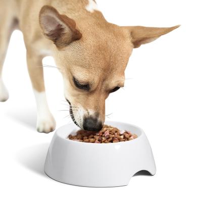 China Sustainable Double Pet Bowls Ceramic Dog Bowl No Spill Non-Slip Silicone Mat Pet Food Scoop Feeder Bowls For Cats Feeding Dogs for sale