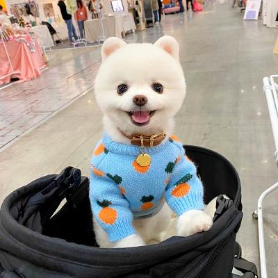 China Sustainable Autumn Winter Chunky Pet Clothing Knitted Cat Sweaters Small Dog Clothing Luxury Sweater For Dog for sale