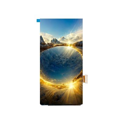 China 6.01 Inch Amoled Display Com 1080 ((W) × 2160 ((H) Resolução Brilhante Em Cor Responda rápido à venda