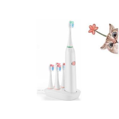 China Adult Rechargeable Toothbrush Toothbtush Escova De Dentes China Battery Operated Toothbrush Dental for sale