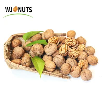 China Xinjiang Nutrition Walnut Kernels Max Bag Without Chinese Dried Shell Walnut Kernels for sale