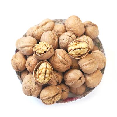 China Best Price Dry Fruit Nut Paper Shell 185 Chinese Wolnuts Walnut for sale