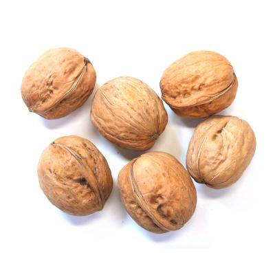 China New Uzbekistan Shell 32mm Butterfly Halves Light Color Walnut Kernel Cultured Dry Walnut for sale