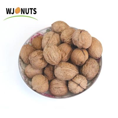 China Shell Fresh Delicious Nutrition Chinese Walnut Dry Thin Kernel for sale