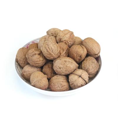 China 100% Dry Natural Wangjiang Walnut in Shell Washed inshell 36 Chilli for sale