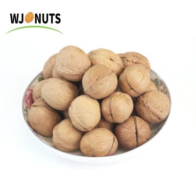 China Type 33 Nuts Price Ukraine Nuts Delicious Dried Fruit Dried Fresh Shell for sale