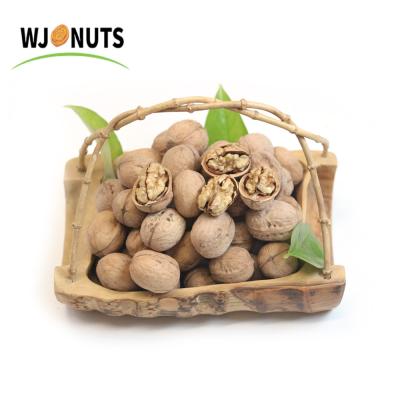 China Wangjiang 100% Natural Dry Chilli Nut Chilli Nuts 1kg Price for sale