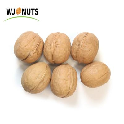 China Wangjiang USA California Walnut Price California Dried Walnuts In Shell for sale