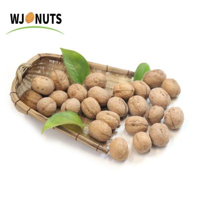 China Xinjiang Dry Hot Selling Organic Fresh Walnut Supplier for sale