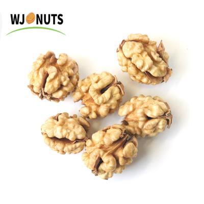 China Low MOQ Dried Natural Walnut Nut Health Dried Pili G Walnut Kernels for sale