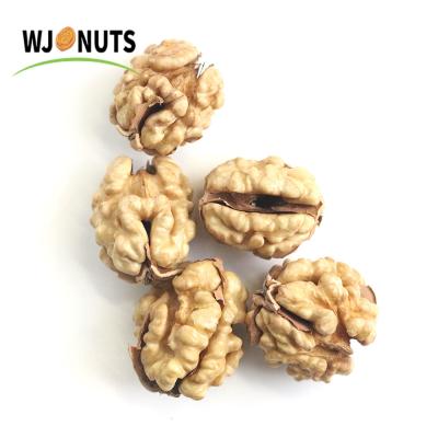 China Wangjiang Manufacturers Top Selling Sugar Dry Coated Walnut Kernel for sale