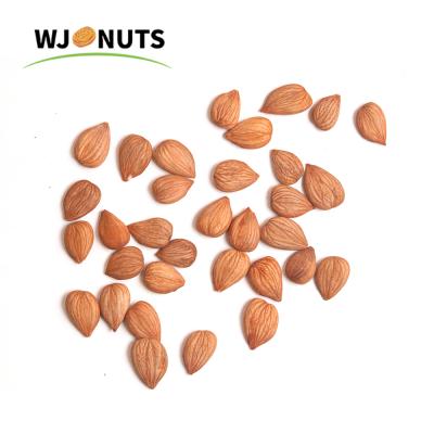 China Wangjiang Supply Best Price Wholesale Dried Almond Nuts Almonds for sale