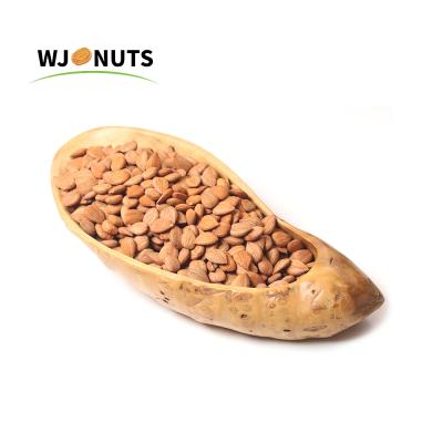 China Wangjiang Almonds Wholesale Raw Almonds Dried Organic Almond Nuts for sale