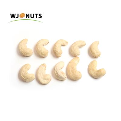 China Dry 2021 Wholesale Price Hot Selling New Raw Cashew Nuts W320 To Shell for sale