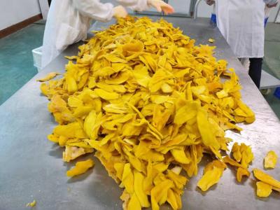 China Wangjiang Wholesale Non-Additional Good Taste Mango Dried Sweet Dried Mango Slice for sale