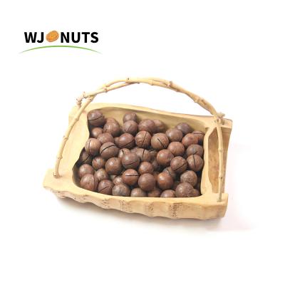 China Cheap Price Non-Additional Wholesale Nuts Dried Fruits Australian Hazelnuts for sale