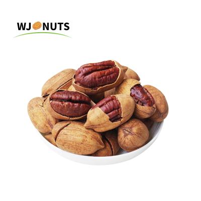 China 100% Natural Delicious and Fresh Wangjiang Dry Pecan Nuts in Shell for sale