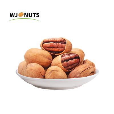 China Dried pecan nuez fresh and delicious Wangjiang seeds with shell for sale