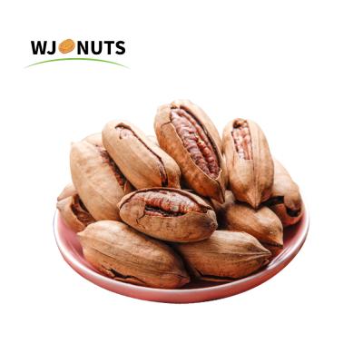 China Wangjiang Price Dried Harvest Oil Cheap Tasty Pecans In Shell for sale