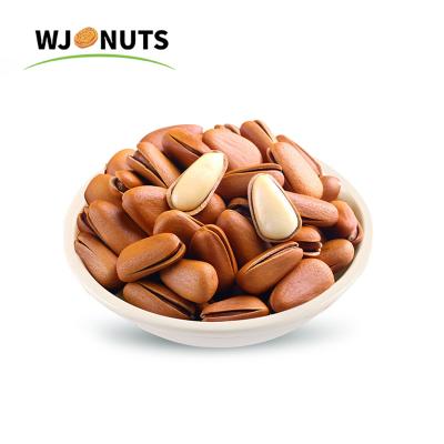 China Normal top selling raw pine nuts shell china buyers price of pinions for sale