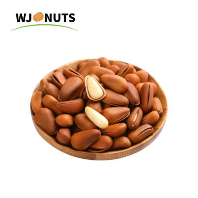 China Normal 2021 Organic Wangjiang 1kg Poland Pine Nuts Pinion Core for sale